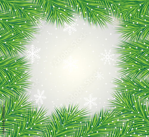 beautiful festive background with the branches of fluffy fir-tr