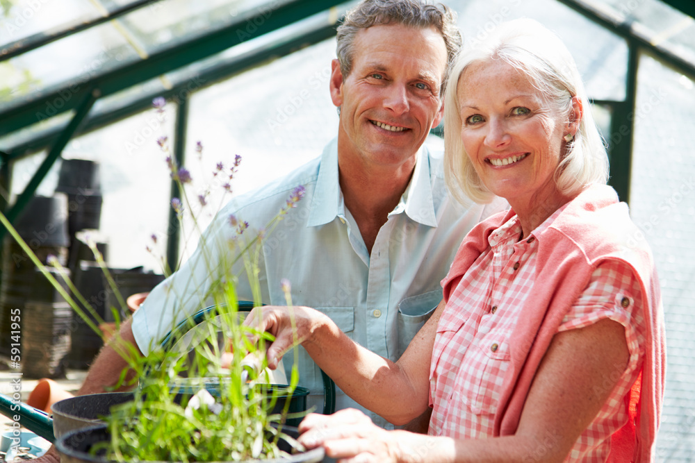 Obraz premium Middle Aged Couple Working Together In Greenhouse