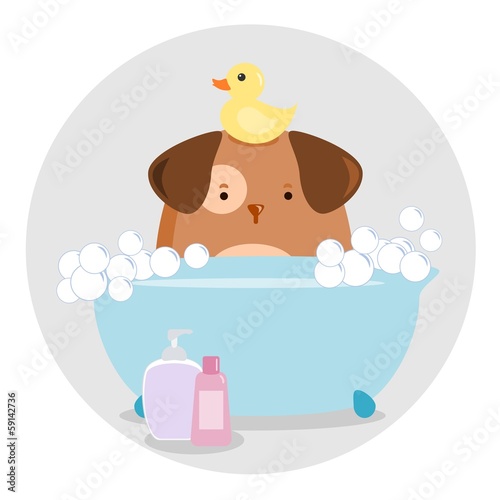 Dog Having a Bath