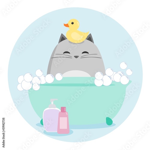 Cat Having a Bath