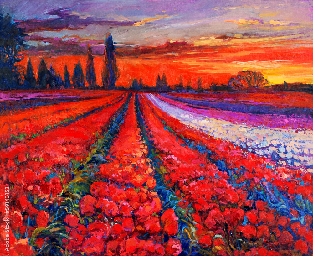 Obraz premium Poppy fields
