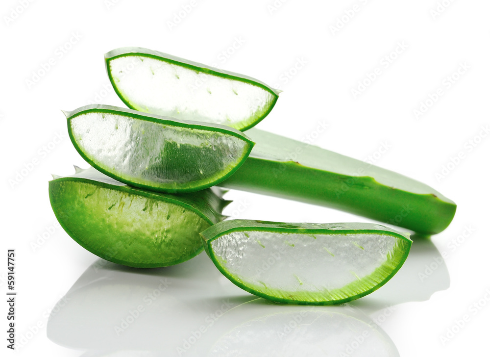 custom made wallpaper toronto digitalaloe vera fresh leaf. isolated over white