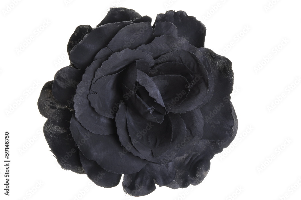 Naklejka premium Black flower head rose on white background 