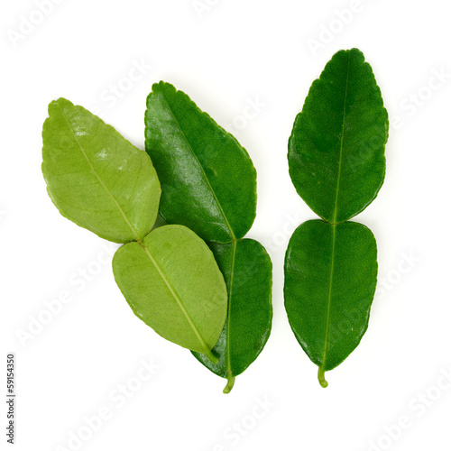 kaffir lime leaf