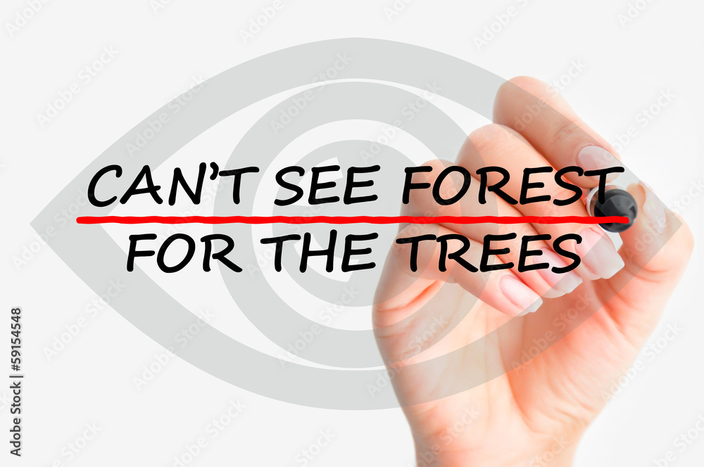Can’t see forest for the trees concept Can’t see forest for the trees concept