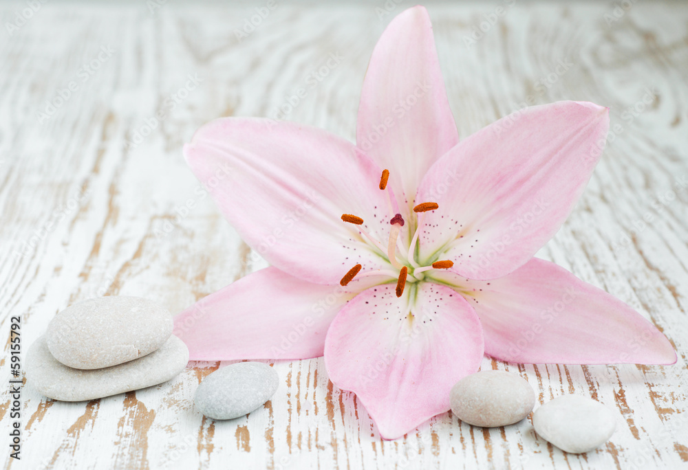 lilly and massage stones