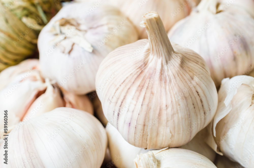 Garlic Garlic
