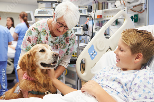 Canvas Print Therapy Dog Visiting Young Male Patient In Hospital