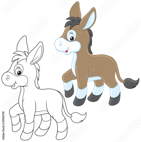 Donkey