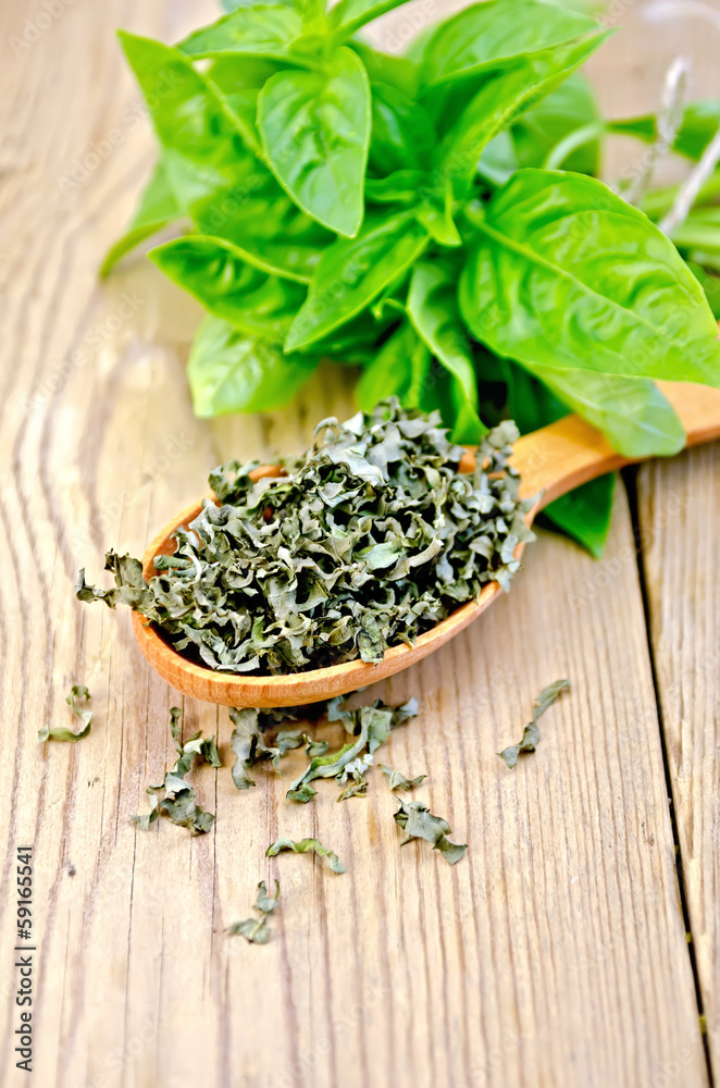 Basil green fresh and dry in a spoon on the board Basil green fresh and dry in a spoon on the board