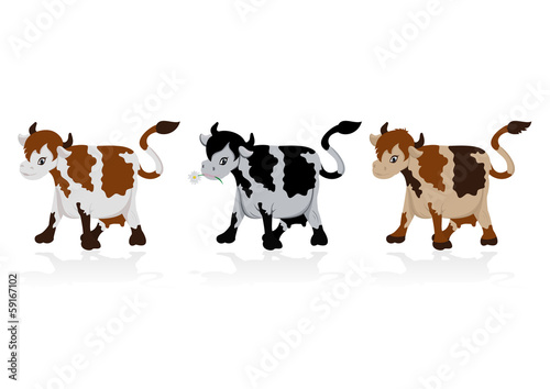 Abstract cow collection