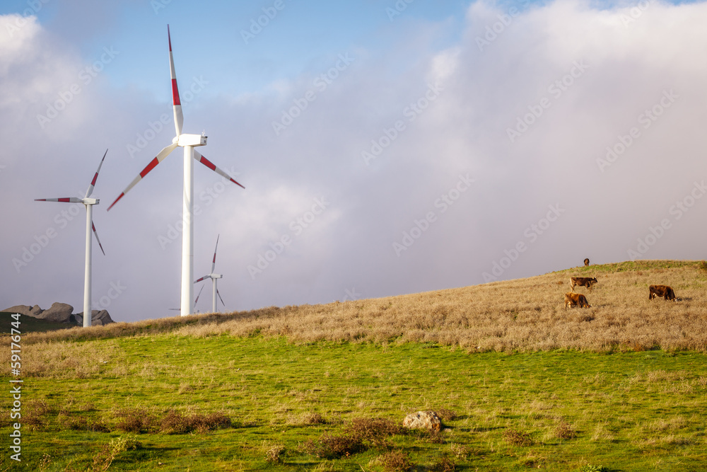 Fototapeta premium Wind turbines