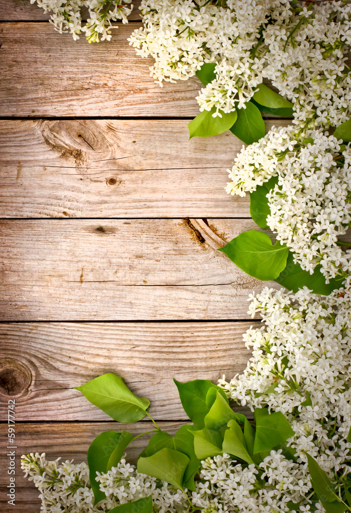 lilac on a wooden surface/ Spring flower background lilac on a wooden surface/ Spring flower background