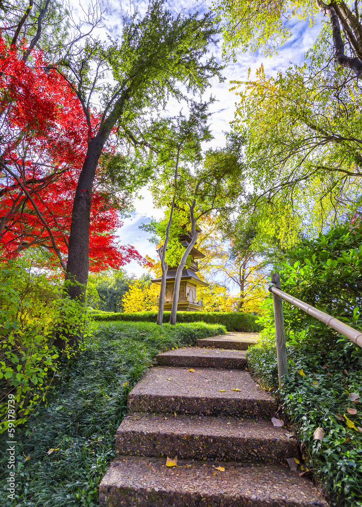 Obraz premium Pagoda in the Fort Worth Japanese Gardens