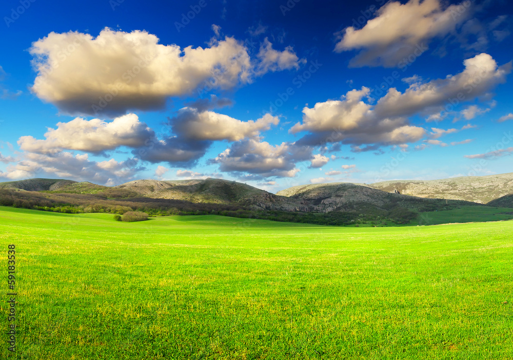Green field and cloudy sky. Beautiful summer landscape