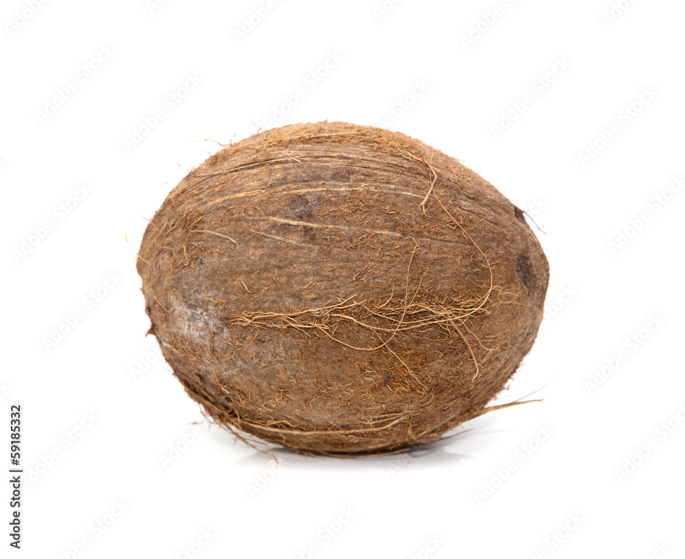 coconut on white background coconut on white background