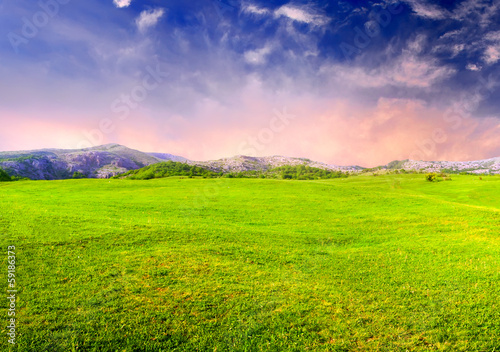 Field durisng sunset. Agricultural landscape