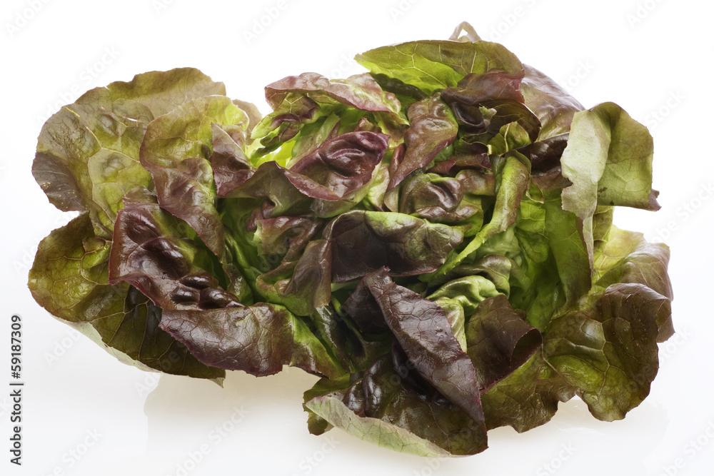 roter kopfsalat Stock-Foto | Adobe Stock
