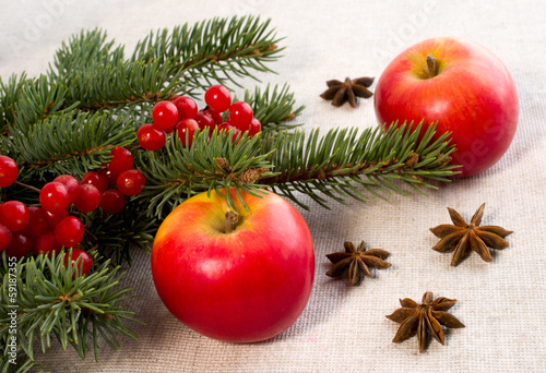 red apples, star anise and spruce branches