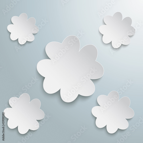 5 White Shamrocks
