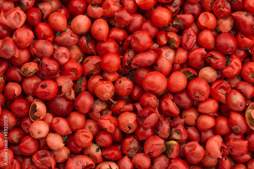 background of red pepper