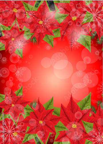 Red Poinsettia
