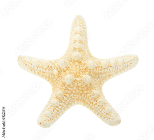 Yellow starfish close up