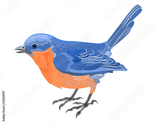 Canvas Print Little bird blue orange