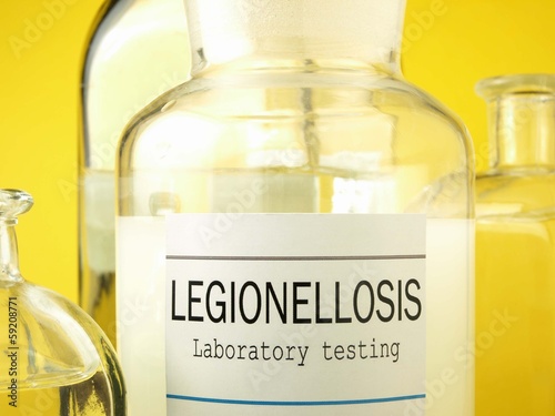 Legionella photo