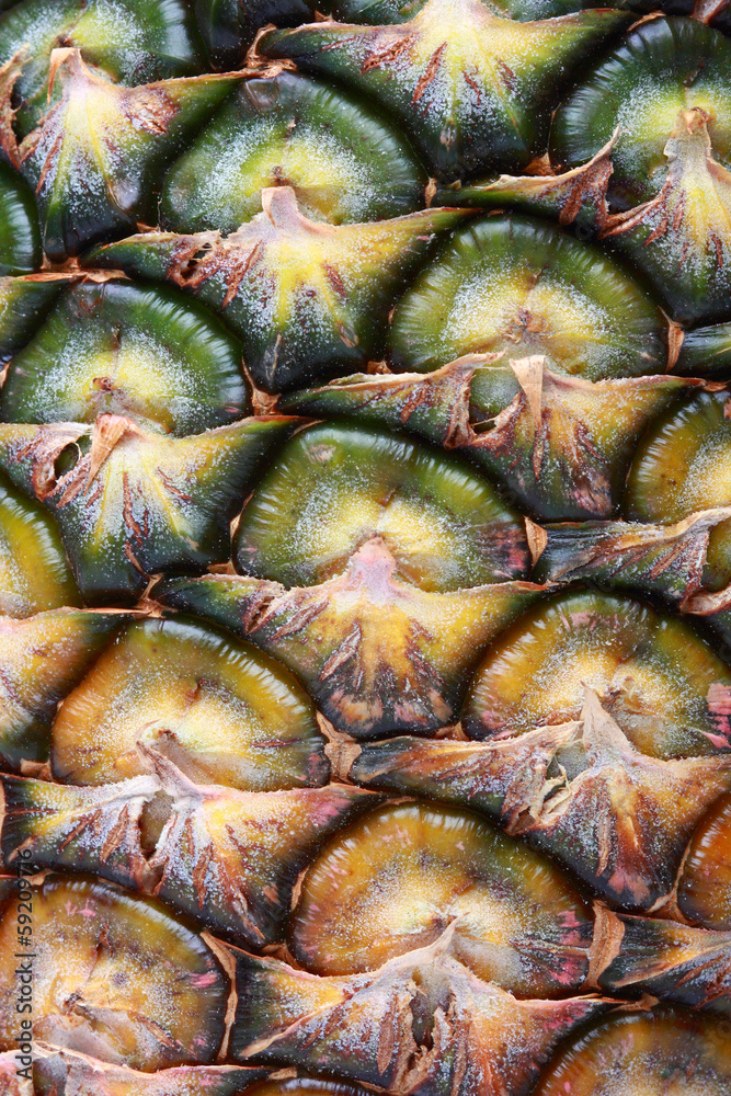 Pineapple shell Pineapple shell