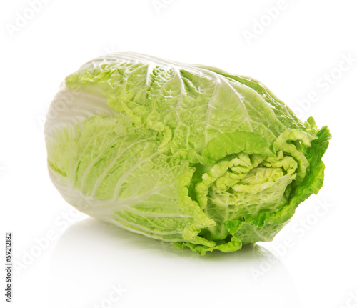 Fresh chinese cabbage