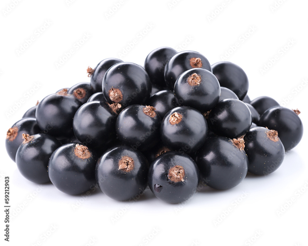 black currant