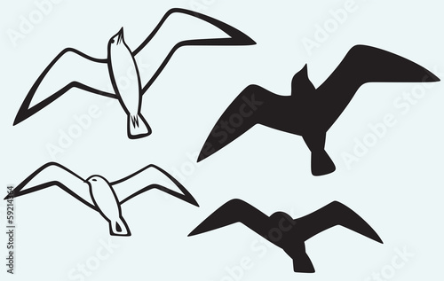 Silhouette of seagulls isolated on blue background