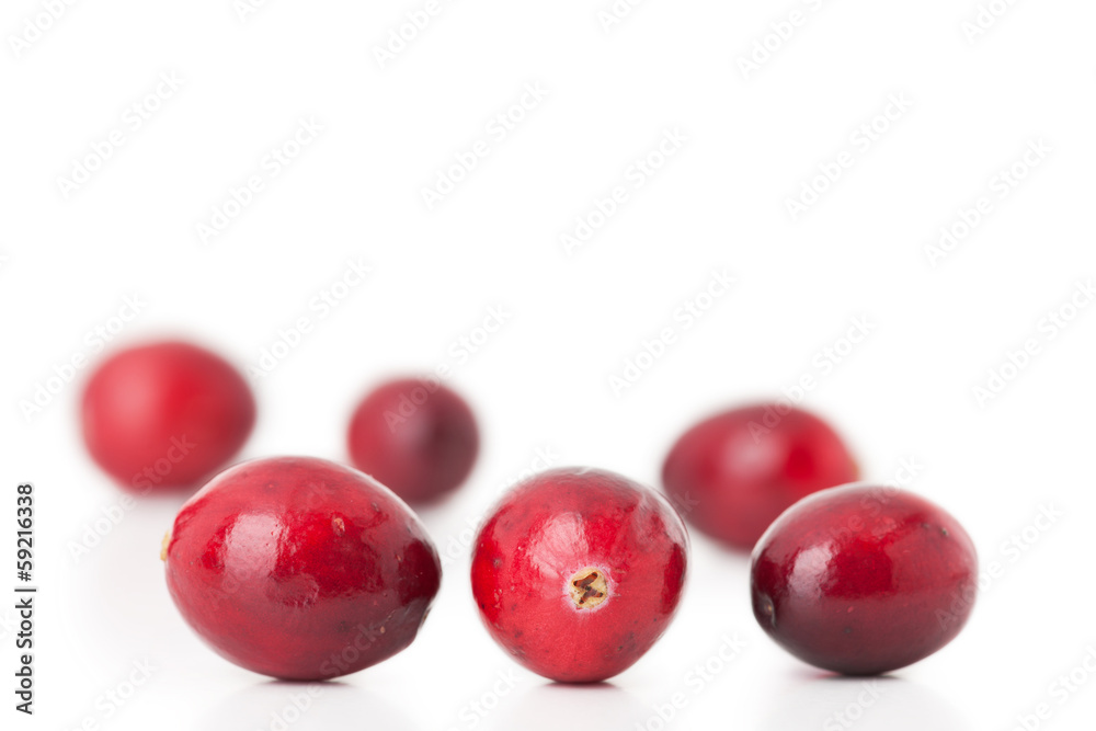Cranberry Cranberry