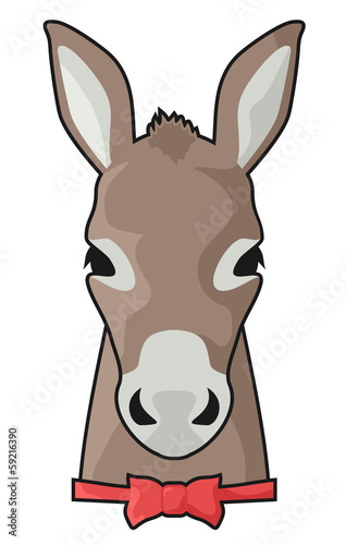 Elegant donkey
