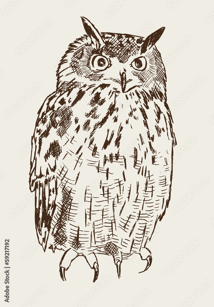 Fototapeta premium Eule Uhu Kauz