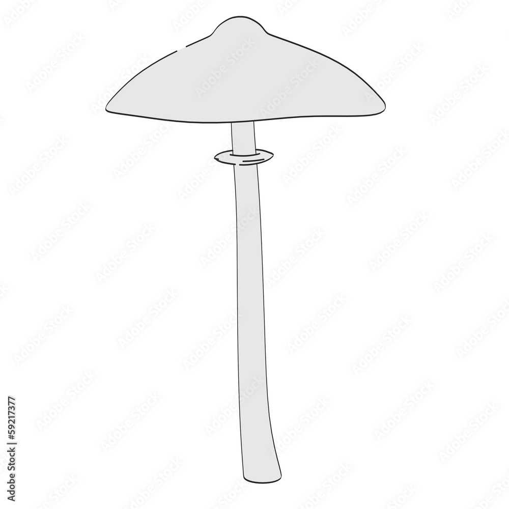 cartoon image of mushroom (eatable) cartoon image of mushroom (eatable)
