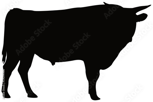 bœuf silhouette