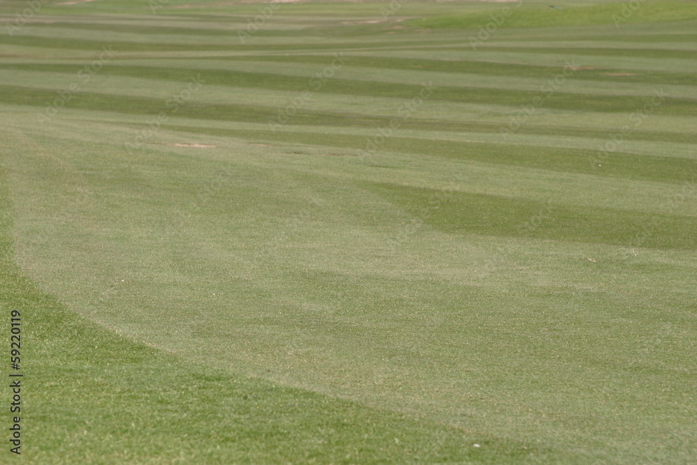 Golf Grass Golf Grass