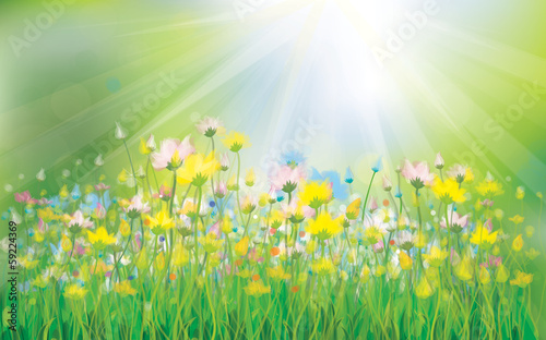 Vector sunshine background with colorful flowers.