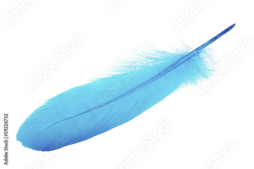 Blue feather