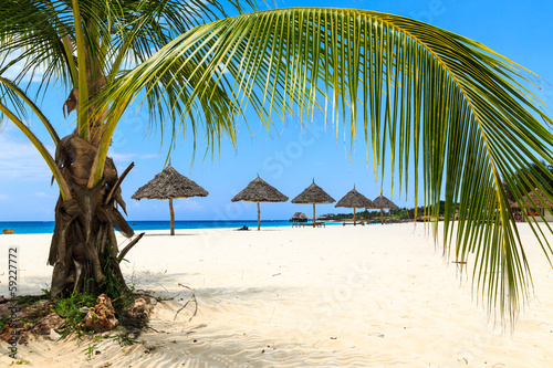 Palm tree and umbrellas on a beach