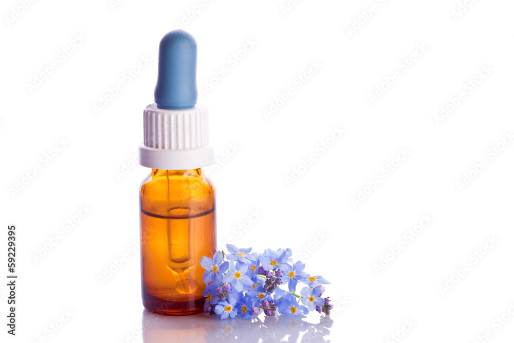 myosotis wildflower natural essence in a dropper myosotis wildflower natural essence in a dropper