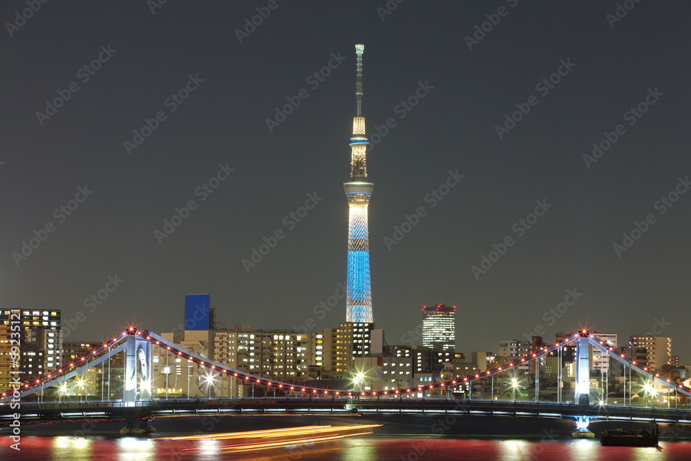 Obraz premium TOKYO Sky tree