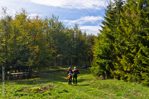 Hiking through meadows and colorful forests of mount Bobija © banepetkovic