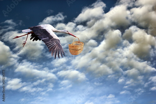 stork bringing baby in basket