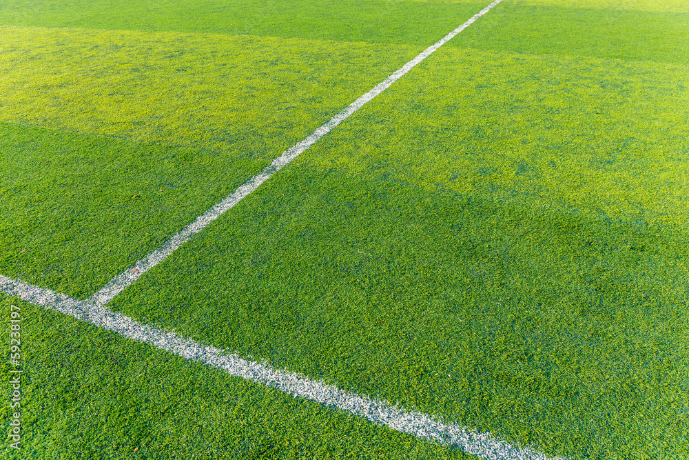 Obraz premium Soccer field