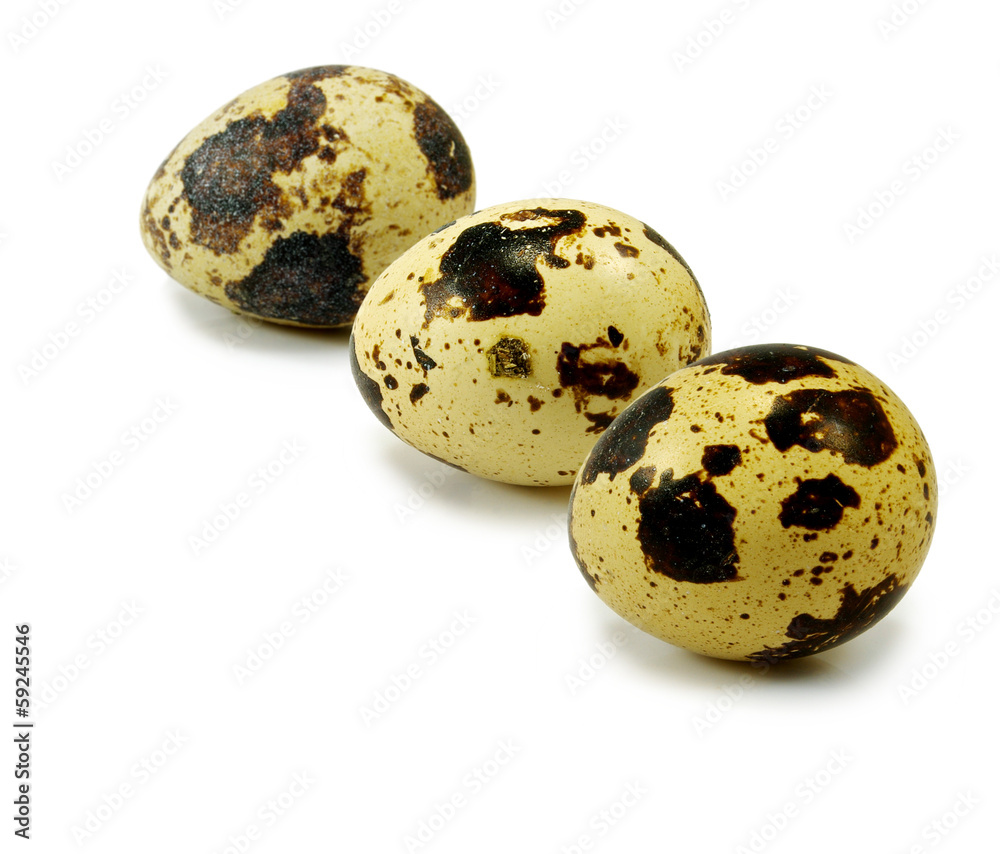 isolated image of three quail eggs on white background isolated image of three quail eggs on white background