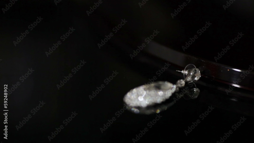 Jewelry earrings