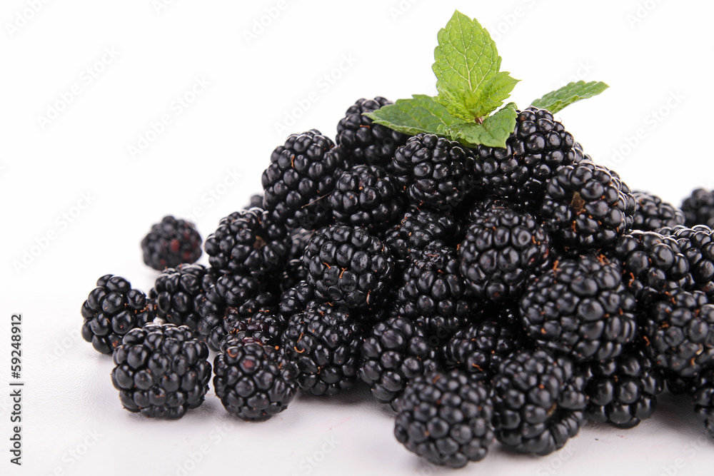 blackberries isolated blackberries isolated